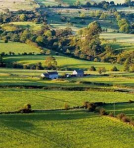 How to Find Your Dream Homestead Land Image